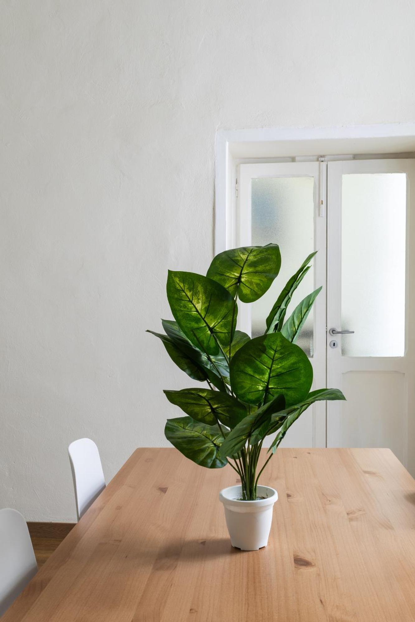 Cozy Historical Flat Napoli Apartment Екстериор снимка